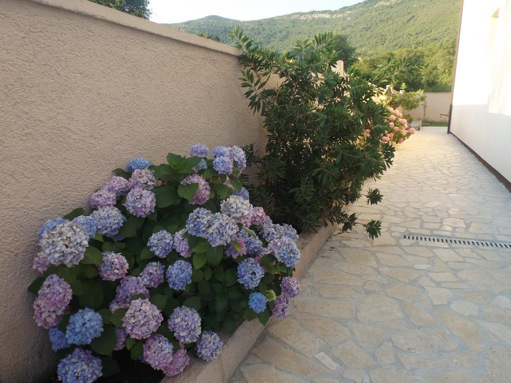 Apartmani Bulajic Tivat Exterior photo